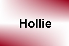 Hollie name image