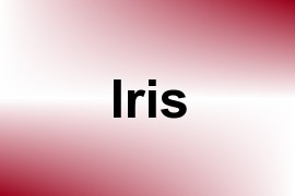 Iris name image