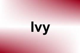 Ivy name image
