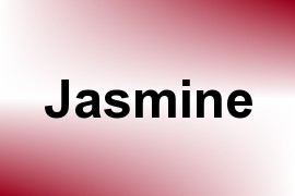 Jasmine name image