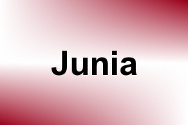 Junia name image