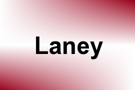 Laney name image