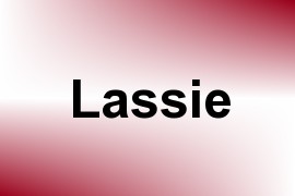 Lassie name image