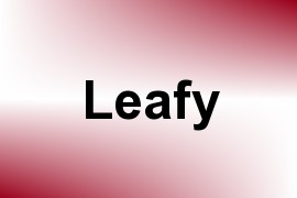 Leafy name image