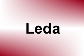 Leda name image