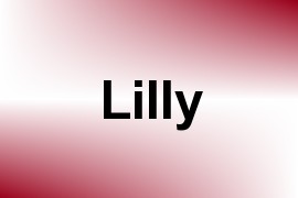 Lilly name image