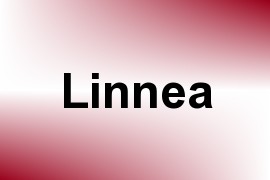 Linnea name image