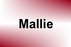 Mallie name image