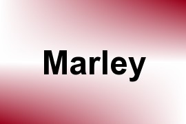 Marley name image