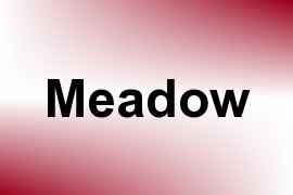 Meadow name image