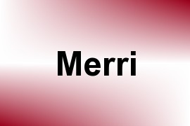 Merri name image