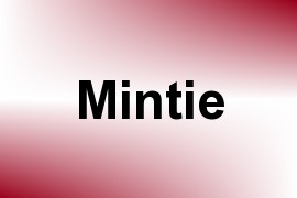 Mintie name image