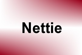 Nettie name image