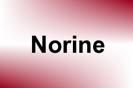 Norine name image