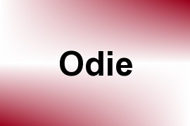 Odie name image