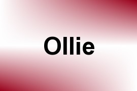 Ollie name image