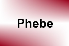 Phebe name image