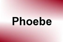 Phoebe name image