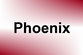 Phoenix name image