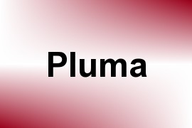 Pluma name image