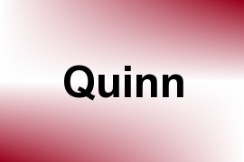 Quinn name image
