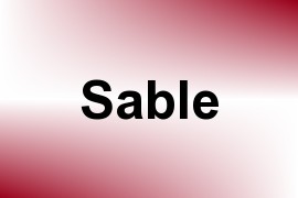 Sable name image