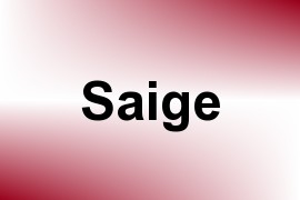 Saige name image