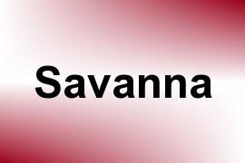 Savanna name image