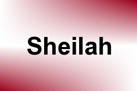 Sheilah name image