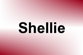 Shellie name image