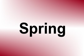 Spring name image