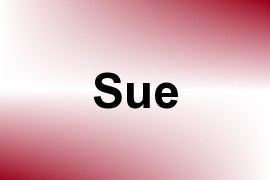 Sue name image