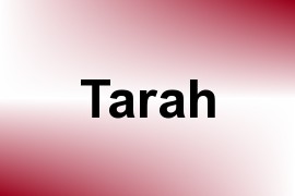 Tarah name image