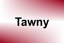 Tawny name image