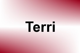 Terri name image