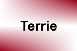 Terrie name image