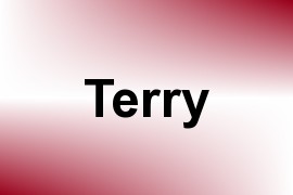 Terry name image