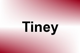 Tiney name image