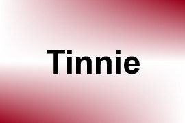 Tinnie name image