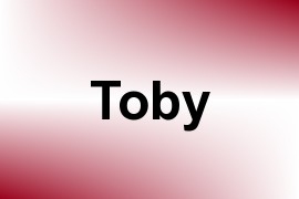 Toby name image