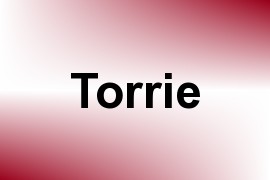 Torrie name image