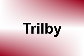 Trilby name image