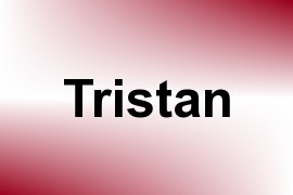 Tristan name image