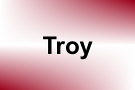Troy name image