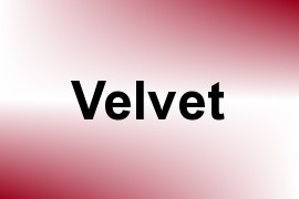 Velvet name image