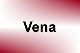 Vena name image