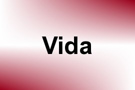 Vida name image