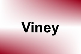 Viney name image