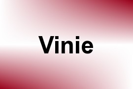 Vinie name image