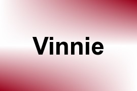 Vinnie name image